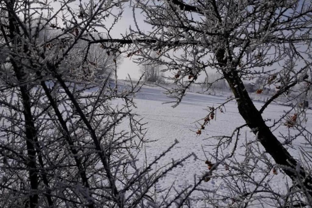 Chata Adam je pre rodiny s deťmi terasa, detské ihrisko Liptovský Mikuláš Exterior foto